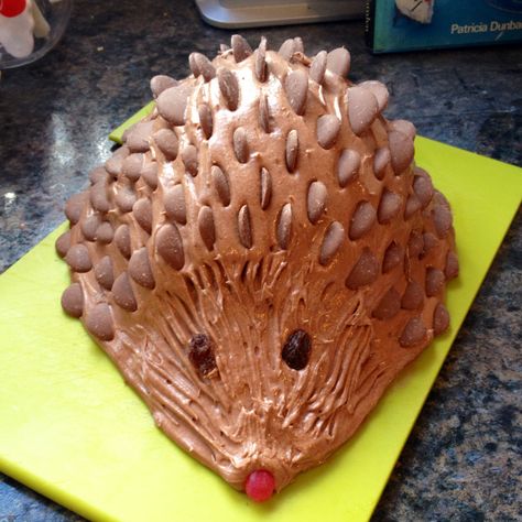 Classic 80s cake: Harriet Hedgehog Cake How-to | PinksCharming: Becky Pink's Blog www.pinkscharming.com 1980s Party Food, Porcupine Cake, Chocolate Hedgehog, Wear Wolf, Party Food Favorites, Wolf Party, Chocolate Cadbury, Wolf Cake, Sonic The Hedgehog Cake