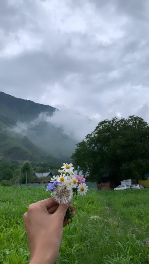 Mountain Flowers Aesthetic, Kashmir Flowers, Kashmir Mountains, Kashmir Culture, Mountain Girl Aesthetic, Kashmir Photography, Kashmir Aesthetic, Kashmir Trip, Short Birthday Wishes