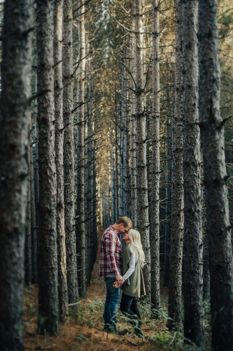 Couple Forest, Fall Pictures Nature, Sunflower Pics, Forest Engagement Photos, Photoshoot Pictures, Country Engagement Pictures, Fall Couple, Forest Engagement, Wolf Photography