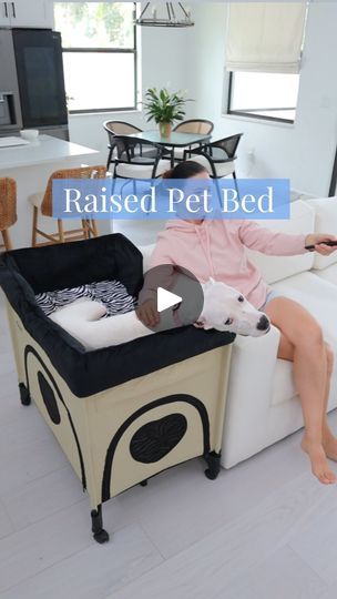 Pet Bunk Bed, Raised Pet Bed, Bunk Bed, Pet Health, Pet Bed, Bunk Beds, Dog Bed, About Me, Animals For Kids