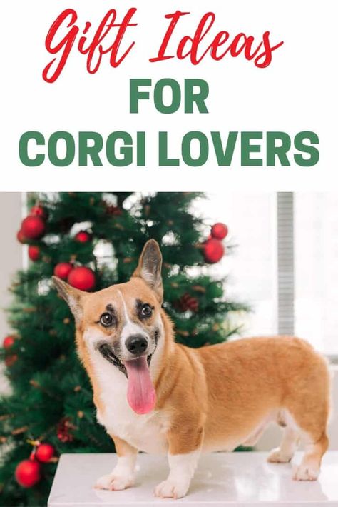 Best Corgi Gifts | Gift Ideas for Corgi Lovers | Corgi Gifts For Her #doglovers #christmasgifts #giftguide Gift Ideas For Animal Lovers, Gift Ideas For Dog Lovers, Corgi Gift Ideas, Corgi Stuff, Gifts For Older Women, Corgi Christmas, Corgi Gifts, Corgi Mom, Sloth Gift