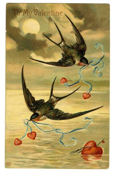 . Victorian Valentines, Barn Swallow, Valentine Images, Valentine Postcards, Vintage Valentine Cards, Valentines Greetings, Vintage Valentine, Illustration Vintage, Swallows