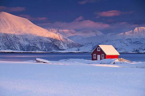 Arctic Sunset | I've been trying to achieve an image like th… | Flickr Tromso, Trondheim, Red House, Winter Photography, North Pole, Winter Landscape, Little Houses, Cozy House, Landscape Art