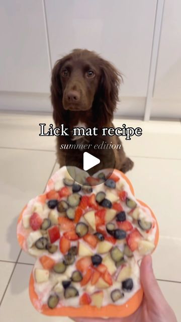 Dog Lick Mat Recipes, Sprocker Spaniel, Kid Foods, Mat Ideas, Summer Hacks, Dog Enrichment, Dog Hacks, Summer Dog, Dog Recipes