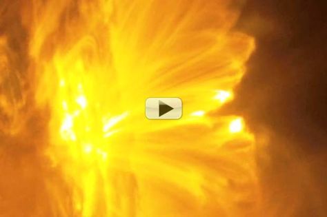 Like a multi-petal flower, an M5-class flare erupted from the sun on Jan. 12th, 2015 prodding the magnetic field phenomenon. NASA's Solar Dynamics Observatory captured the fireworks in multiple wavelengths. Video Show:  Attack of the Sun Video Show, Solar Flare, Petal Flower, Magnetic Field, The Cosmos, Down To Earth, Astronomy, Fireworks, Cosmos