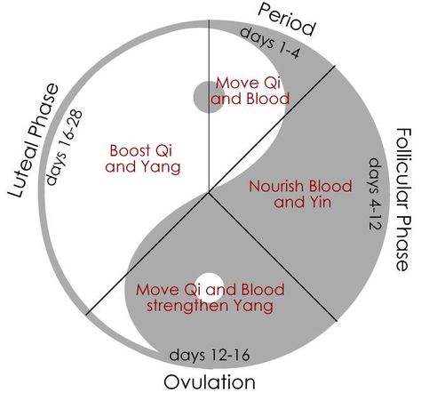 menstrual health chinese medicine - Google Search Bbt Chart, Tcm Traditional Chinese Medicine, Period Cycle, Shiatsu Massage Acupressure, Hormonal Imbalances, Eastern Medicine, Menstrual Health, Shiatsu Massage, Acupuncture Points