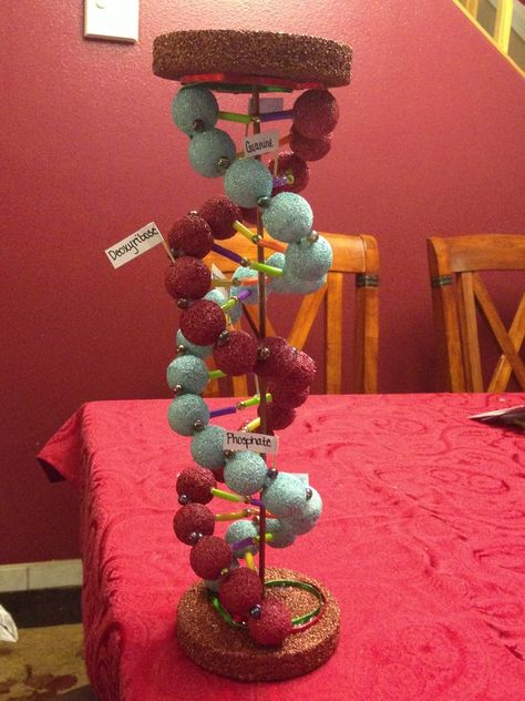 Rutherford Experiment, Dna Double Helix Model, Dna Model Project, Dna E Rna, Science Project Models, Bio Project, Biology Project, Dna Project, Dna Helix