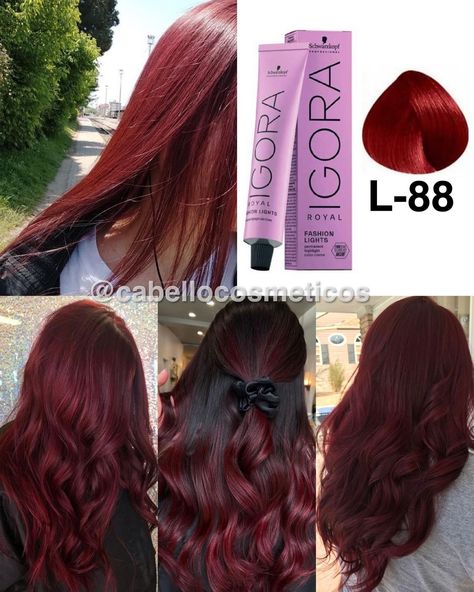 Igora Reds, Igora Hair Color, Cherry Red Hair, Wine Hair, Cherry Hair, Hair Color Formulas, Ginger Hair Color, Hair Color Shades, Heatless Hairstyles