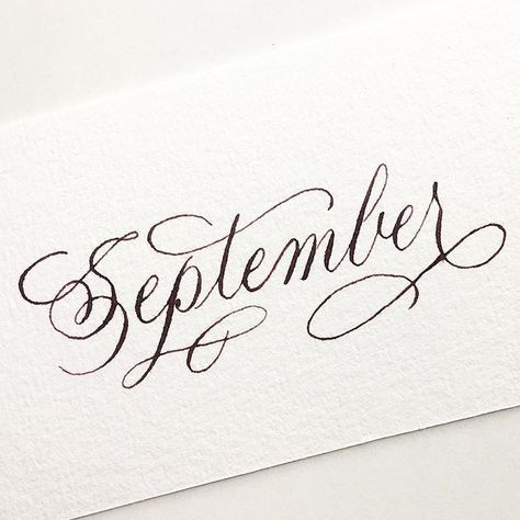 September Calligraphy, Autumn Calligraphy, Calligraphy Copperplate, September Baby, Garden Diary, Hand Lettering Art, Cursive Handwriting, Daily Journal, Letter Art