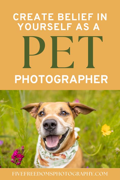 Creating belief in starting your new pet photography business is quite a bit easier than you might think! In fact, I'm sharing five clever ways I've created belief in myself when starting my business that might be beneficial for you, too. Learn all five ways at my most recent post. #petphotographybusiness #petphotographytips #businessofpetphotography #startingapetphotographybusiness Photography Questionnaire, Pet Photography Business, Pet Photography Tips, Freedom Photography, Belief In Yourself, Puppy Photography, Photography Career, Dog Photoshoot, Pet Dogs Puppies