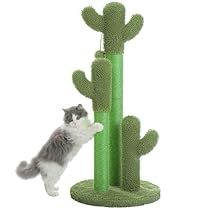 Cactus Cat, Pet Spider, Furniture Scratches, Pet Sofa, Healthy Cat, Cat Post, Sisal Rope, Cactus Design, Cat Scratching Post