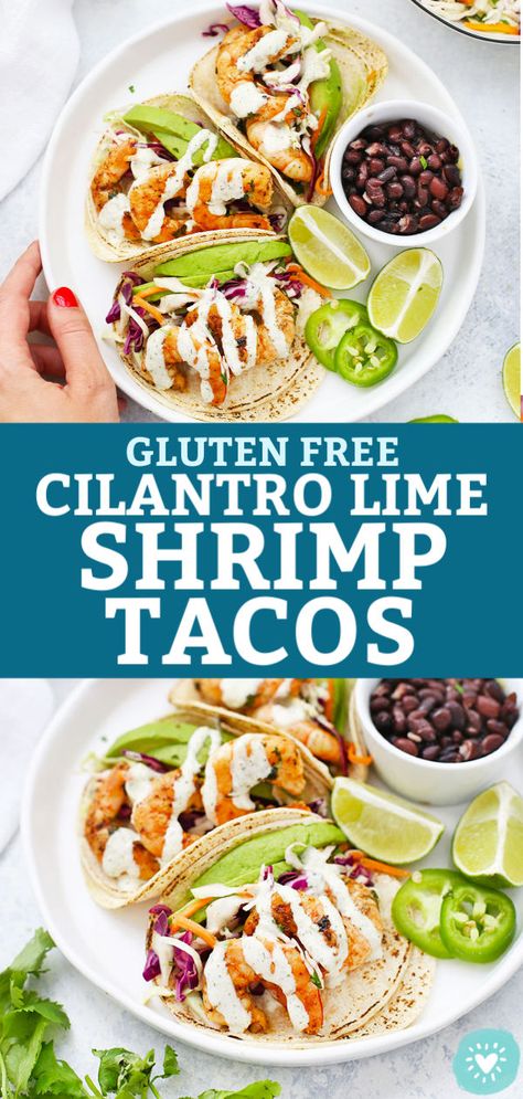 Cilantro Lime Shrimp Tacos - This tasty twist on taco night uses marinated shrimp, delicious toppings, and a creamy sauce you'll LOVE! (Gluten free, dairy free) // shrimp taco recipes // chili lime shrimp // taco night // shrimp recipes #glutenfree #tacos #shrimp #shrimptacos #dairyfree #taconight Shrimp Taco Toppings Ideas, Gluten Free Dairy Free Tacos, Dairy Free Shrimp Tacos, Gluten Free Recipes Shrimp, Gluten Free Shrimp Tacos, Gluten Free Dairy Free Pescatarian Recipes, Shrimp Tacos Easy Dairy Free, Macro Friendly Shrimp Tacos, Healthy Shrimp Tacos Clean Eating