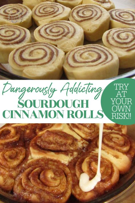 Morning Cinnamon Rolls, Cinnamon Baking, Sourdough Cinnamon Rolls, Dough Starter, Sourdough Starter Discard Recipe, Discard Recipes, Bread Starter, Food Bread, Sourdough Starter Recipe