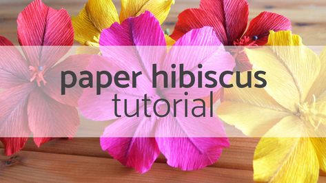 I'm back with another paper flower tutorial for you, and today we're learning how to make a paper hibiscus flower. Hibiscus flowers are one of my top 3 easy flowers to get started with if you're new to paper flower making. Hibiscus Flower Tutorial, Crepe Paper Flower Tutorial, Free Paper Flower Templates, Crepe Paper Flowers Tutorial, Paper Flower Templates, Crepe Paper Flowers Diy, Crepe Paper Flower, Flower Hibiscus, Easy Flowers