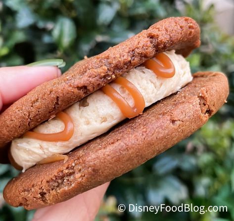 Disney World In November, Snickerdoodle Sandwich Cookies, Gingerbread Sandwich Cookies, Cookie Sandwich Recipes, Cookie Sandwich, Ginger Bread Cookies Recipe, Caramel Cookies, Gingerbread Cake, Funnel Cake