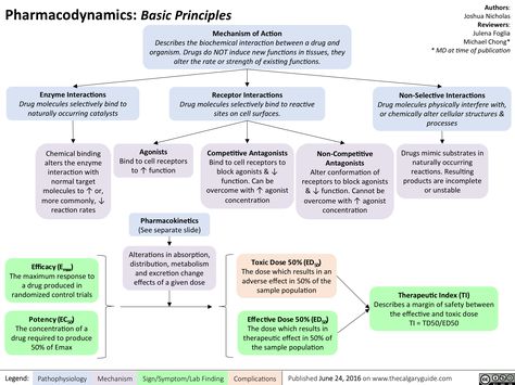 Pharmacodynamics Basic Principles Pharmacodynamics Notes, Pharmacodynamics Pharmacokinetics, Uni Notes, Crna School, Nursing Pharmacology, Nursing Labs, Medical Terminology Study, Physician Assistant School, Nerdy Nurse