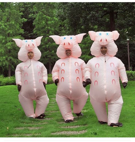 3 Person Halloween Costume, Costume Halloween Duo, Blow Up Halloween Costumes, Holloween Costumes, Costume Family, Trio Costumes, Unique Couple Halloween Costumes, Pig Toys, Pig Costumes