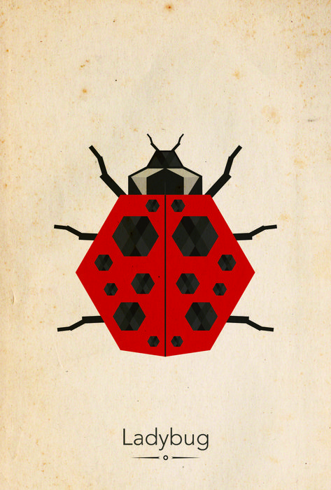 #design #poster #illustration #geometric #animals #insect #ladybug #bugs Insect Graphic Design, Geometric Ladybug, Ladybug Insect Illustration, Bugs Illustration, Insects Illustration, Ladybug Illustration, Insect Poster, Insect Illustration, Ladybug Design