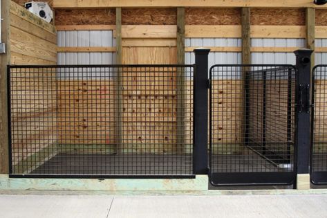 Mesh Stall Fronts by Des Eck Welding Diy Stall Fronts, Mesh Stall Fronts, Stall Flooring For Horses, Dog Kennel Inside, Horse Stall Fronts, Miniature Horse Stalls, Shipping Container Horse Stalls, Stall Dividers Horse, Dog Sitting Business