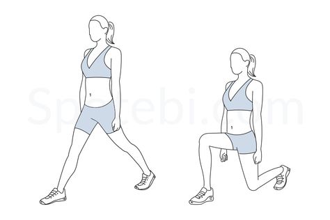 The split squat movement is very similar to the lunge, but it places more emphasis on the hips, glutes and hamstrings and less emphasis on the quads. The split squat also has a reduced lumbar spine loading, when compared to the lunge, and it helps to improve lower body strength and balance. http://www.spotebi.com/exercise-guide/split-squat/ Squat Exercise, Benefits Of Squats, Bench Press Program, Split Squats, Push Workout, Weighted Squats, Back Fat Workout, Calories Burned, Water Exercises