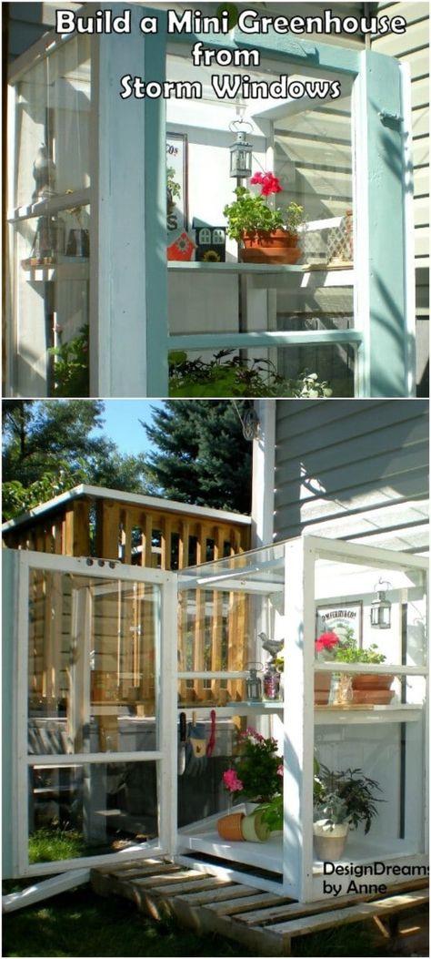 Cheap Greenhouse, Old Window Projects, Windows Ideas, Best Greenhouse, Outdoor Greenhouse, Old Window Frame, Greenhouse Design, Indoor Greenhouse, Storm Windows