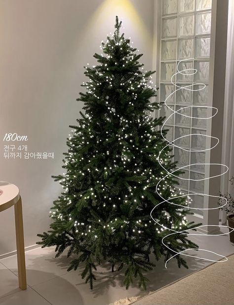 Korean Christmas Tree, Korean Christmas, Xmas Aesthetic, Christmas Vibes, Christmas Love, Christmas Aesthetic, Christmas And New Year, Christmas Tree, Cafe