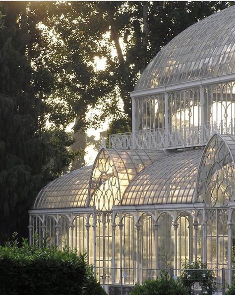 Clarefeldman10 on Instagram: “Gorgeous greenhouse” Greenhouse Glass Architecture, Greenhouse With Fountain, Victorian Mansion Garden, White Greenhouse Aesthetic, Two Story Greenhouse, Old Money Greenhouse, Aesthetic Green House, Glasshouse Ideas, Summer House Aesthetic