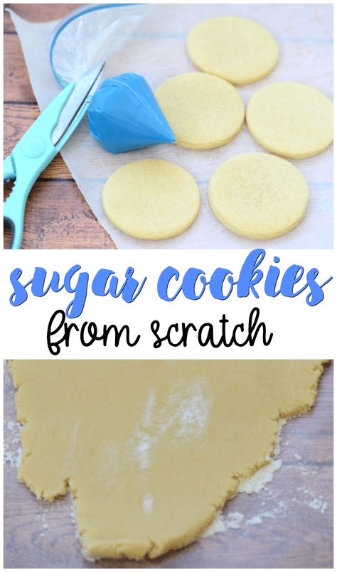 Homemade Sugar Cookies Recipe, Sugar Cookies From Scratch, Cookie Recipes From Scratch, Homemade Sugar Cookies, Sugar Cookie Recipe Easy, Cookies From Scratch, Cookie Recipes Unique, Cookie Recipes Homemade, Chewy Sugar Cookies