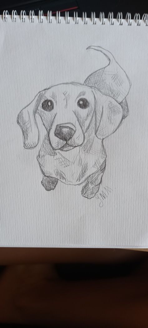 Bobbly art dachshund drawing cute eyes nose slay long wiener dog art long dog Wiener Dog Watercolor, How To Draw Dachshund, Dachshund Drawing Easy, Dog Drawing German Shepherd, Drawing Ideas Easy Dog, Drawing Cute Eyes, Dachshund Sketches, Daschund Drawing, Wiener Dog Drawing