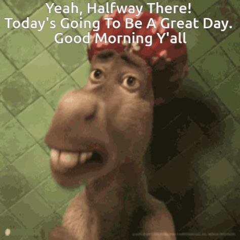 Humpday Halfway There GIF - Humpday Halfway there Good morning wednesday - Discover & Share GIFs Good Morning Wednesday Gifs Funny, Wednesday Humor Good Morning Funny, Good Morning Wednesday Gif, Humpday Quotes, Wednesday Animated, Good Morning Wednesday Quotes, Wednesday Gif, Thursday Gif, Wednesday Hump Day