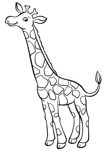 Coloring Pages. Birds. Cute Owl. Stock Vector - Illustration of animal, isolated: 71205097 Zoo Animal Coloring Pages, Giraffe Coloring Pages, Birds Cute, Giraffe Drawing, Giraffe Illustration, Tree Illustration, Animal Sketches, Cute Owl, Animal Coloring Pages