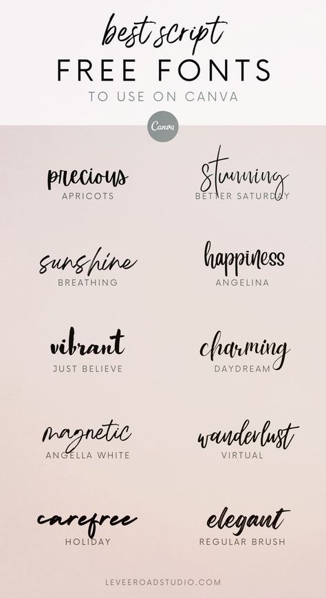 10 free commercial use fonts on Canva for branding. Fonts and Calligraphy Ideas, Typography Inspiration, & Wedding Fonts Kombinasi Font, Font Canva Lettering, Best Free Script Fonts, Typographie Logo, Party Font, Typographie Inspiration, Free Handwritten Fonts, Design Alphabet, Business Fonts