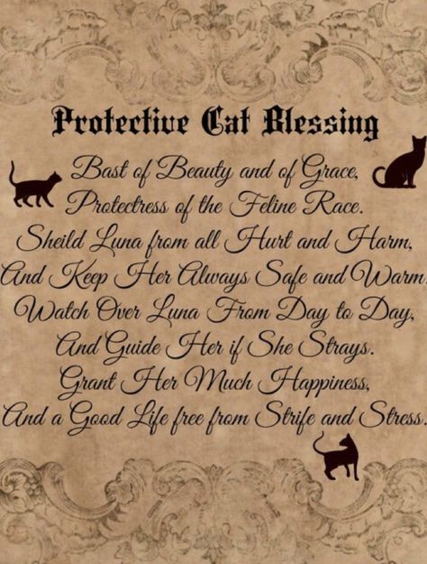 Familiar Spell, Black Magic Protection, Blessing Spell, Cat Familiar, Magic Protection, Real Spells, Witch Spells, Wiccan Crafts, Cat Custom