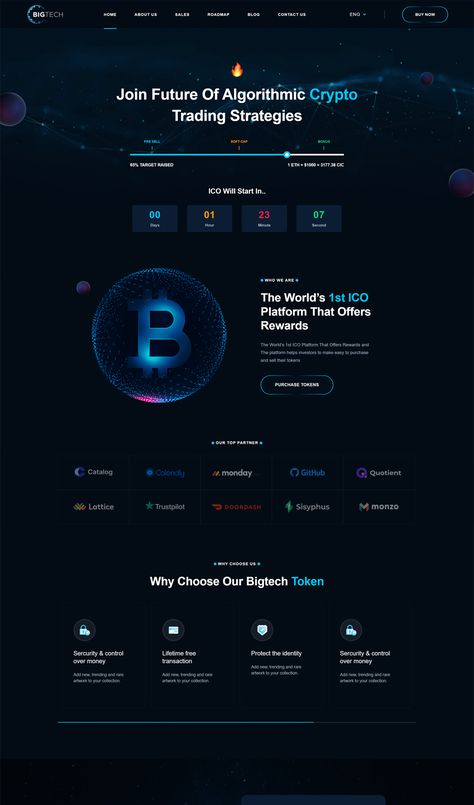 ICO & Crypto Landing React Nextjs Template Blockchain Website Design, Dropshipping Tips, Ui Website, Learn Computer Coding, Html Website, Html Website Templates, Creative Web Design, Design Palette, Webpage Design