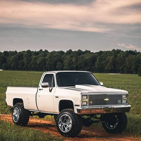 Chevy White Trucks, 76 Chevy Truck, Old Chevy Square Body Trucks, White Square Body Chevy, Old Square Body Chevy, Dream Trucks Chevy, Chevy Square Body Trucks, 79 Chevy Truck, Square Body Trucks