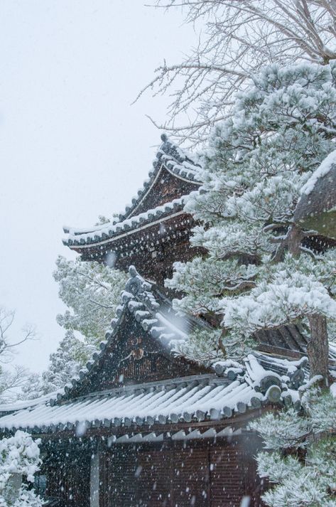 Japanese Winter Aesthetic, Ancient China Aesthetic, Winter In Japan, The Kimono Gallery, Kimono Gallery, Japan Winter, Ancient Chinese Architecture, Japanese Temple, Japan Aesthetic