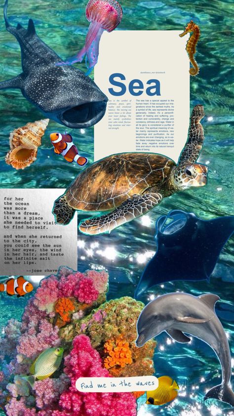 Turtle Aesthetic Wallpaper, Turtle Aesthetic, Sea Collage, Biology Poster, Life Underwater, Aesthetic Sea, Ocean Turtle, Summer Wallpapers, Cute Summer Wallpapers