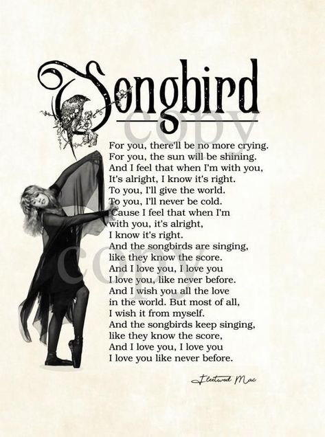 Fleetwood Mac Songbird, Stevie Nicks Lyrics, Stevie Nicks Quotes, Fleetwood Mac Lyrics, Stevie Nick, Great Song Lyrics, Stevie Nicks Fleetwood Mac, Lyrics Art, Music Mood