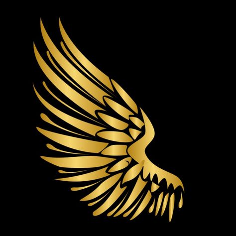 Gold Wings Logo, A4 Size Paper Border Design Flower, Wing Tattoo Men, Automotive Logo Design, Wedding Card Frames, Silhouette Tattoos, Game Logo Design, Original Iphone Wallpaper, Photo Logo Design