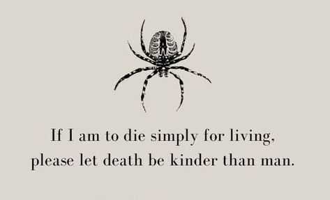 The spider's poem - Tattered Rat's Crafts Spider Quotes, Spider Poem, Self Motivation, Memento Mori, Spiders, Spiritual Awakening, Best Memes, Best Quotes, Spirituality