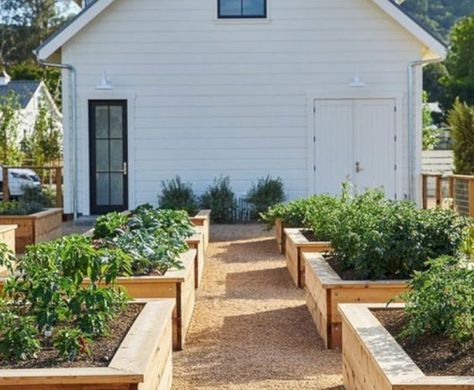 15 Lovely Raised Vegetables Garden Ideas Vegetable Garden Beds, Raised Garden Bed Plans, Building Raised Garden Beds, Building A Raised Garden, Garden Planter Boxes, Diy Raised Garden, Backyard Vegetable Gardens, Raised Garden Beds Diy, Permaculture Design