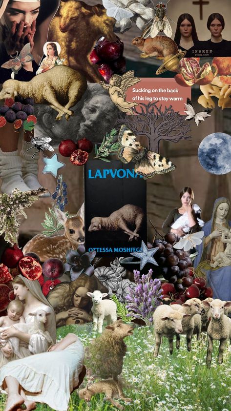 lapvona Lapvona Book Aesthetic, Lapvona Aesthetic, Lapvona Book, Book Authors, Book Aesthetic, Bookstore, Books To Read, Poetry, Reading