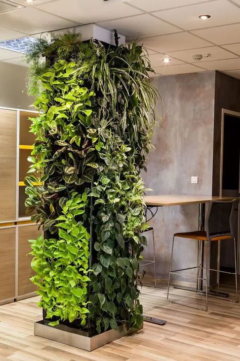 9 Ways to Decorate a Rental Home with Plants | Balcony Garden Web Planting Bulbs In Spring, Vertikal Garden, Outdoor Wall Fountains, Vertical Garden Indoor, Vertical Garden Design, Garden Solutions, Garden Indoor, Vertical Gardens, Walled Garden