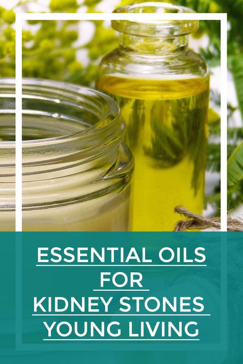 essential oils for kidney stones young living Essential Oils For Kidneys, Esential Oils, Kidney Stone, Living Essentials Oils, Young Living Essential Oils, Young Living, Doterra, Essential Oil, How To Use