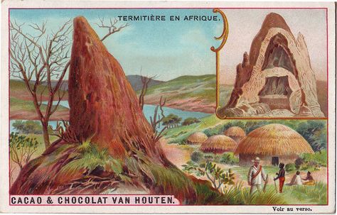 CHROMO VAN HOUTEN TERMITIERE EN AFRIQUE | por patrick.marks Trade Cards, Wild Creatures, Vintage Cards, Mini Albums, Architecture, Van, Quick Saves, Art