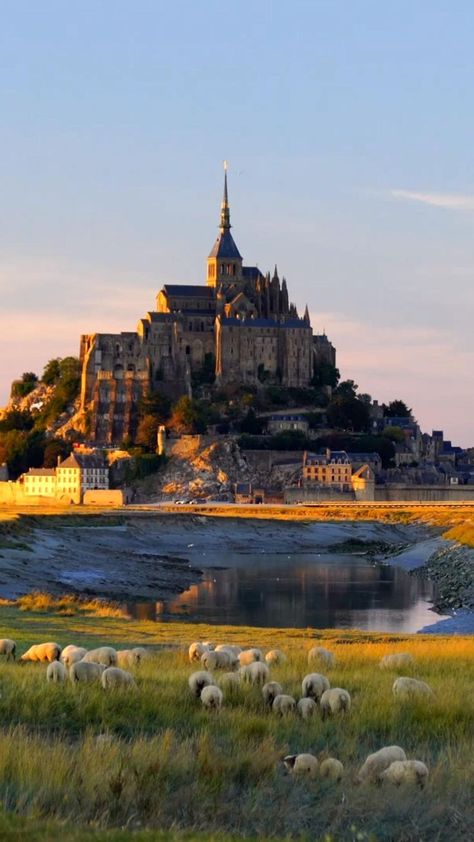 France Places To Visit, Most Beautiful Places In The World, Mont St Michel France, Places In France, Mont St Michel, World Most Beautiful Place, Places To Visit In Paris, Chateau France, Halong Bay