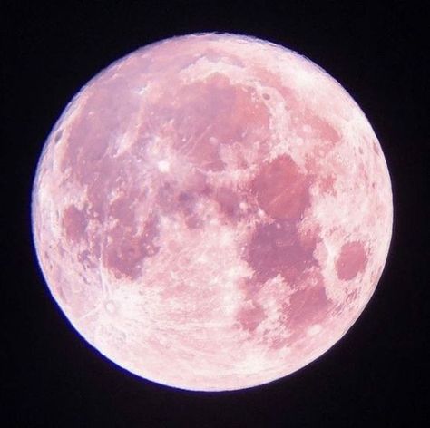 Pink Moon, Video Editor, Moon, Pink