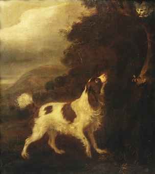 Adriaen Cornelisz. Beeldemaker (Rotterdam 1618-1709 The Hague)   An English Springer Spaniel and a grey cat in a landscape Grey Cat, English Springer, English Springer Spaniel, Springer Spaniel, The Hague, Dog Paintings, Rotterdam, Spaniel, Painter