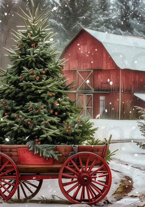 Christmas Scenes Photography, Farmhouse Christmas Phone Wallpaper, Christmas Barn Photo Session, Christmas Barn Decorations, Christmas Scenery Pictures Holidays, Christmas Tree Farm Aesthetic, Outdoor Christmas Decoration Ideas, Christmas On The Farm, Outdoor Decoration Ideas