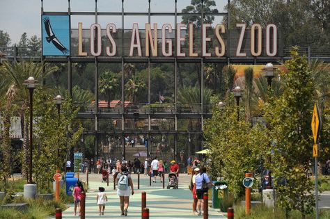 Best Parent Gathering Places In Los Angeles Los Angeles Zoo, Writing Portfolio, Wild Kingdom, Price Increase, Los Angeles City, Mojave Desert, San Bernardino, Main Entrance, Old Hollywood